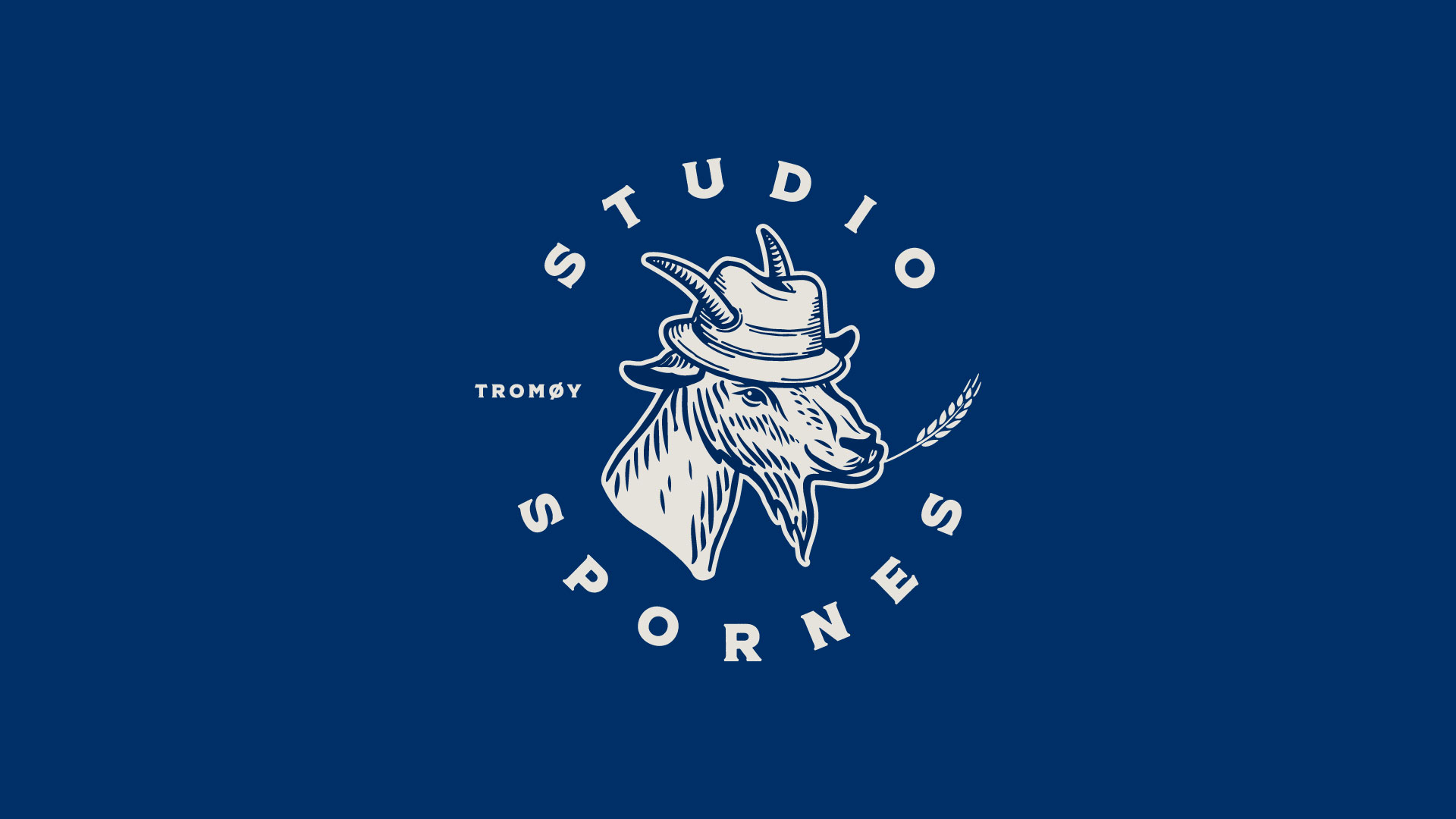 Studiospornesneg